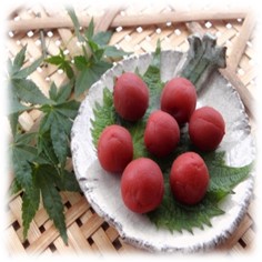 梅干し、シソの色付け